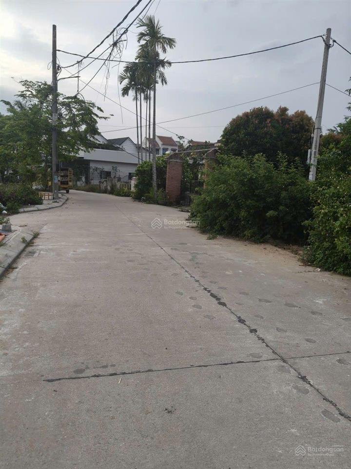 Bỏ phố về quê sở hữu góc yên bình giữa làng rau trà quế thơ mộng