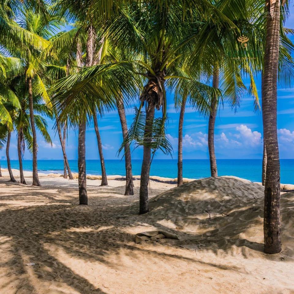 2 mặt tiền, ngang 12m, khu vực du lịch biển cửa đại chỉ 6.3 tỷ ngô thì nhậm.