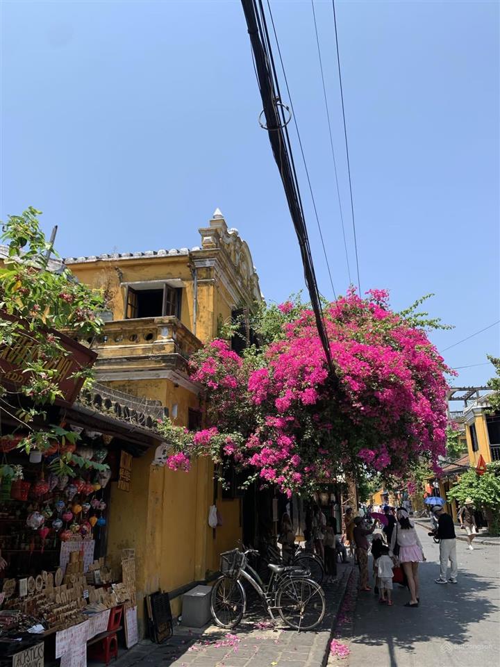 Hiếm hội an, 2 mặt tiền bến trễ, khu dân trí cao, gần phố cổ chỉ 4.83 tỷ.