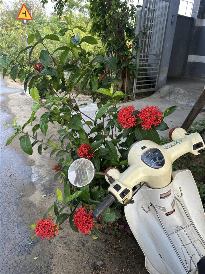 Hiếm hội an, 500m2 mặt tiền đồng nà 1, gần biển chỉ 7.19 tỷ