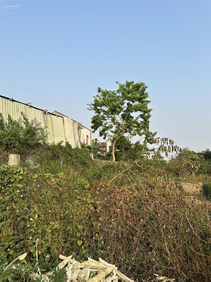 Hiếm hội an, 500m2 mặt tiền đồng nà 1, gần biển chỉ 7.19 tỷ