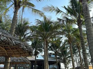 Diện tích khủng 528m2, gần phố cổ hội an, khu vực đông đúc giá chỉ 10 tỷ bến trễ, cẩm hà