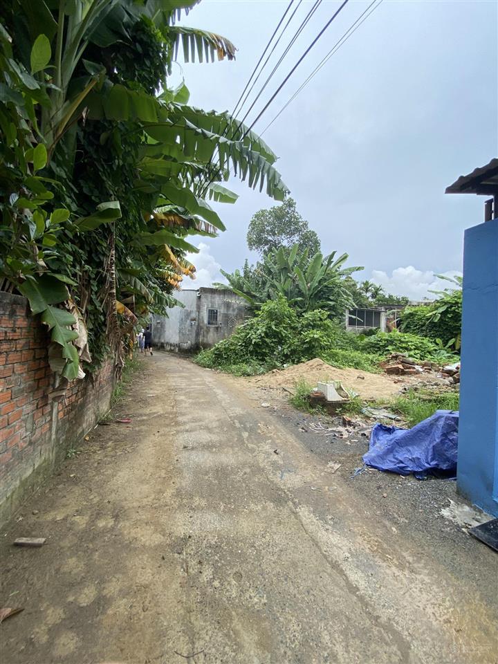 Bán đất đẹp xuất sắc tại thôn bồ bản, 1,3 tỷ, 142,7m2