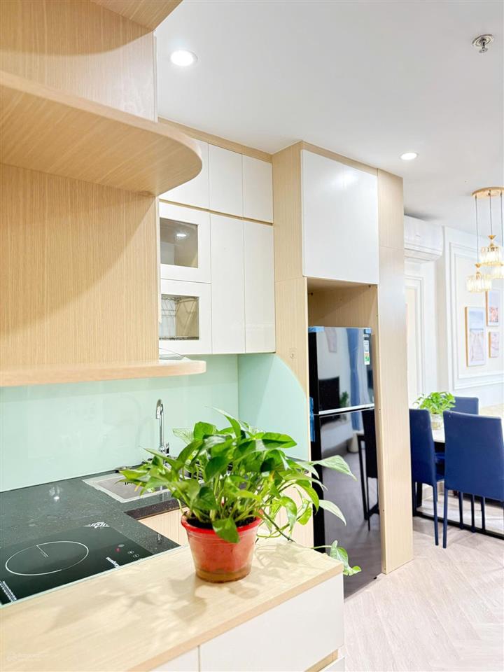 Hiếm căn 1 phòng ngủ phân khu the shappire vinhomes ocean park gia lâm dt 46m2, full nội thất