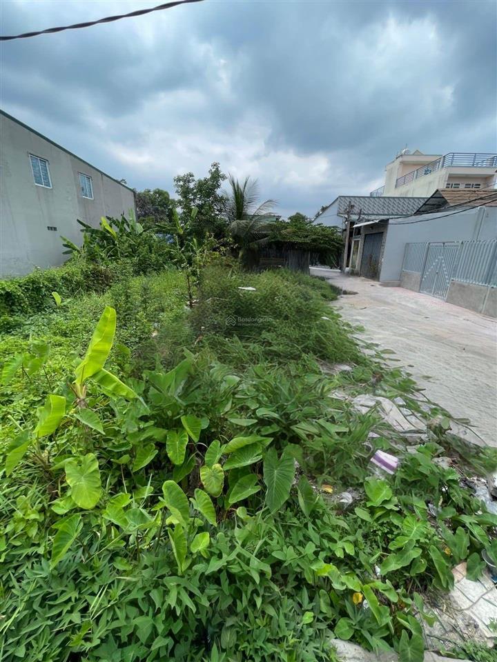 Chính chủ bán gấp lô đất nền xã tân kiên bình chánh