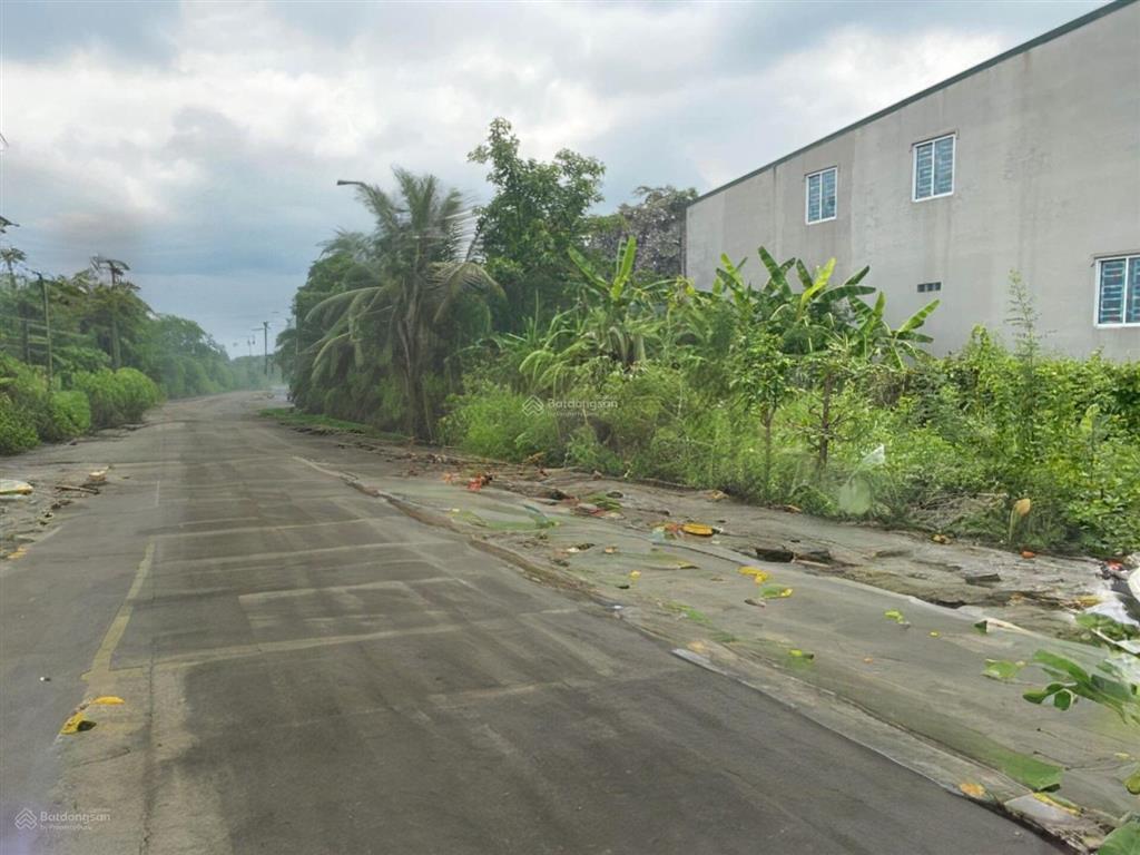 Chính chủ bán gấp lô đất nền xã tân kiên bình chánh