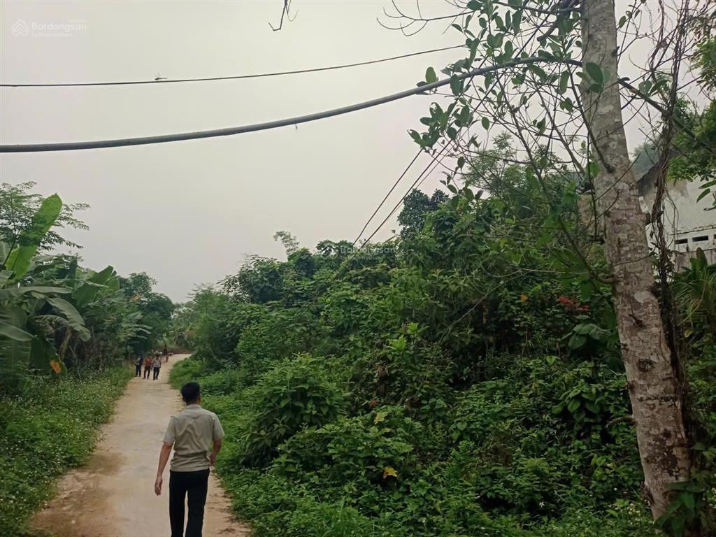 Chính chủ bán lô đất 2209m2 tại cẩm thủy, thanh hóa