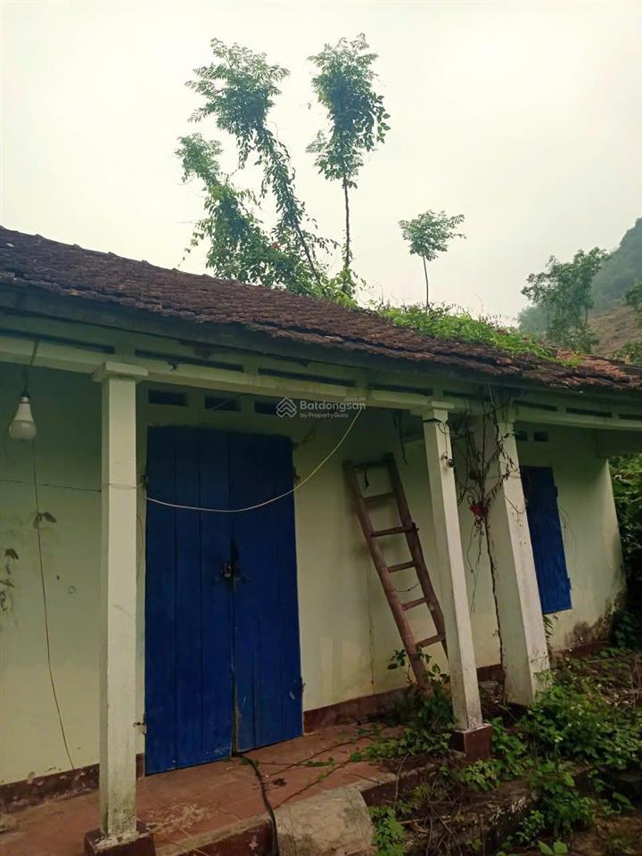 Chính chủ bán lô đất 2209m2 tại cẩm thủy, thanh hóa