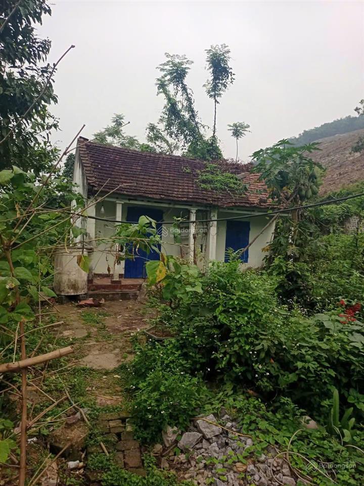 Chính chủ bán lô đất 2209m2 tại cẩm thủy, thanh hóa