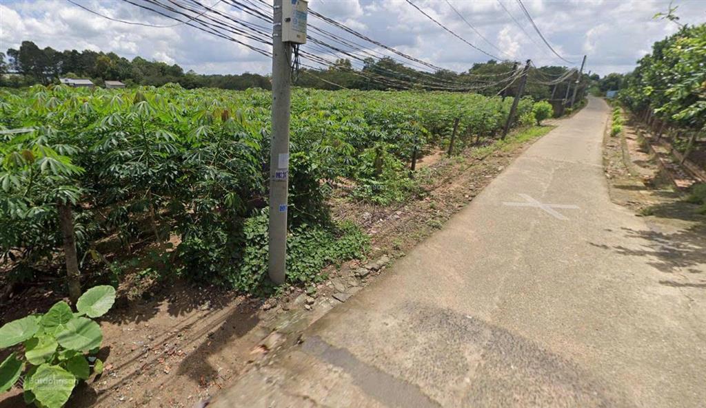 Bán gấp lô đất 1 sào (1000m2) tại bàu cạn long thành  gần cao tốc mới, gần sân bay long thành
