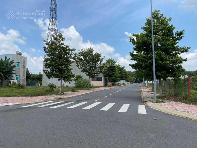 Chủ nhà kẹt tiền cần bán đất gấp giá rẻ cho ai đầu tư ở hội nghĩa, bình dương  100m2