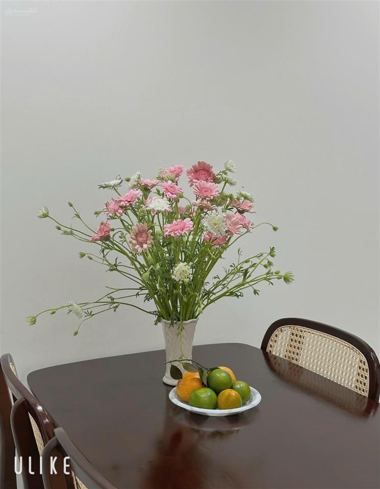 2cho thuê căn hộ 3pn, 3wc tại hùng vương plaza, 22 triệu, 130m2  0901 797 ***