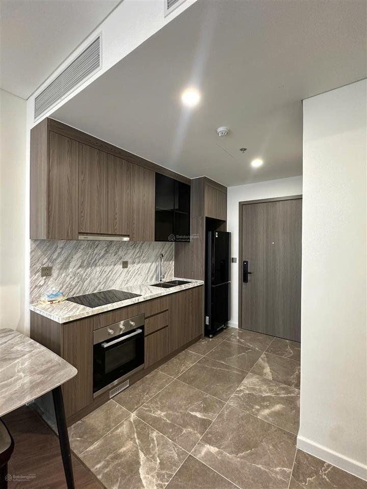 Chính chủ bán căn 2n góc tòa p4 giá 5,5 tỷ thu về vinhomes ocean park