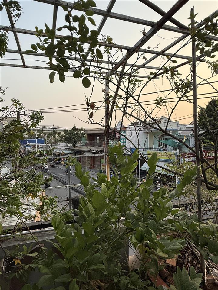 Bán nhà mặt phố 199b hòa long, 15 tỷ vnd, 116m2, giá cực chất