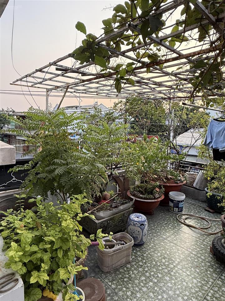 Bán nhà mặt phố 199b hòa long, 15 tỷ vnd, 116m2, giá cực chất