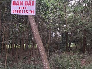 Bán chính chủ đất măt đường hcm 5x25m