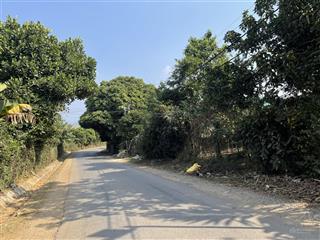 Cc cần bán đất xã mường thàng, tỉnh phú thọ