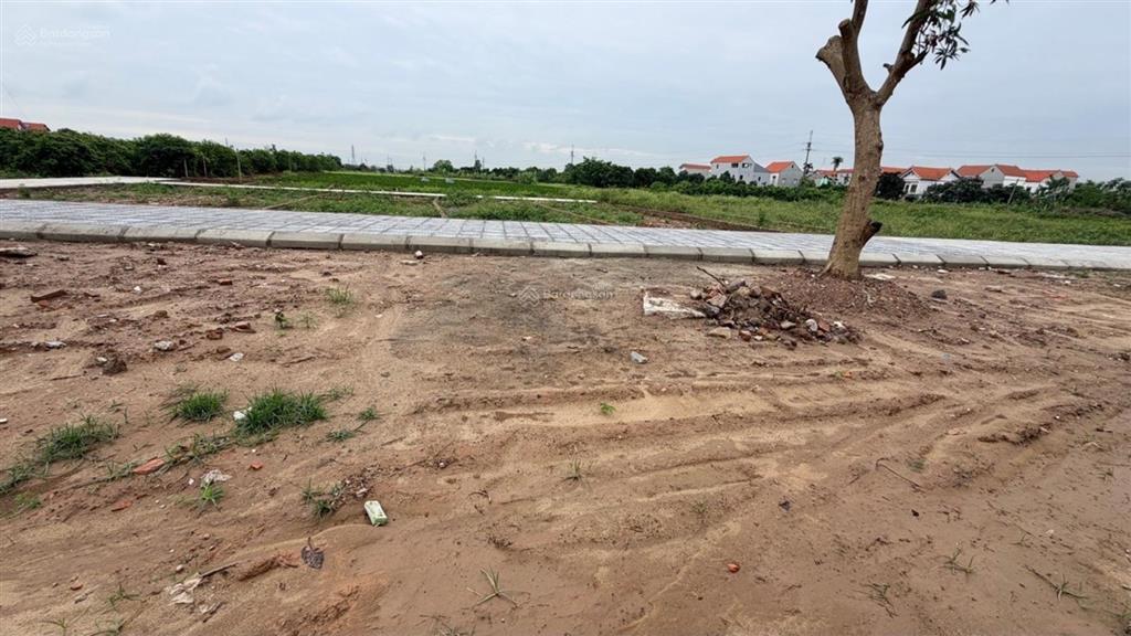 Trục chính kinh doanh đại đồng, văn lâm, hưng yên