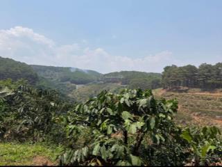 Còn duy nhất 1 nền 1000m2 nằm giữa rừng thông giá chỉ 650 triệu