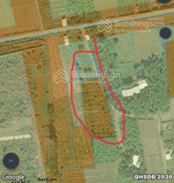 Đất nông nghiệp trồng cây lâu năm, đất chính chủ