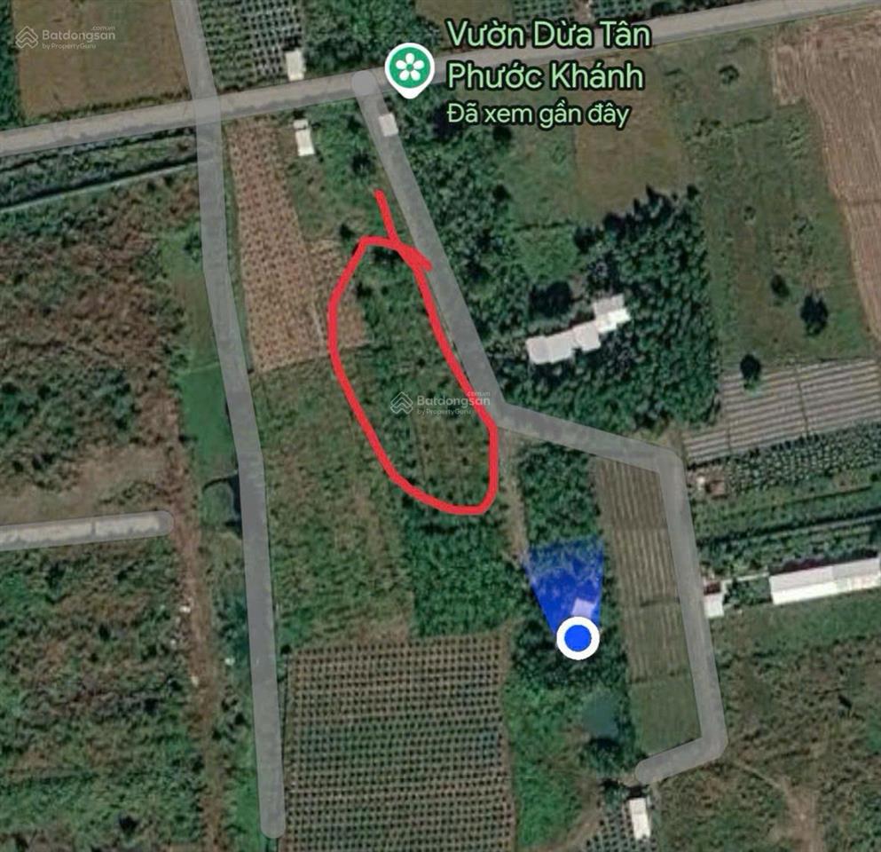 Đất nông nghiệp trồng cây lâu năm, đất chính chủ