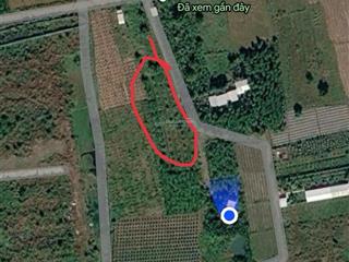 Đất nông nghiệp trồng cây lâu năm, đất chính chủ