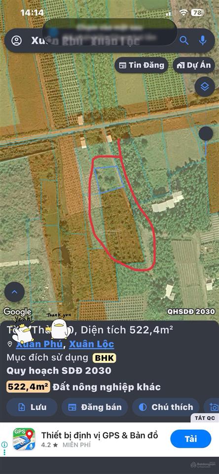 Đất nông nghiệp trồng cây lâu năm, đất chính chủ