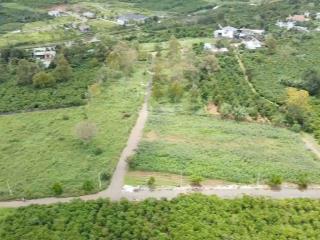 Bán đất mặt tiền đường nhựa có sẵn thổ cư diện tích 793m2 tại lộc an