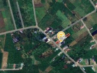 Bán đất mặt tiền đường nhựa, 7.4 tỷ, 993 m2, lộc an , lâm đông