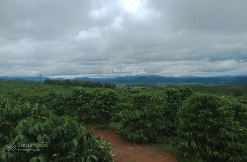 Bán gấp đất nền 611m2, 3,65 tỷ tại xã tân văn, huyện lâm hà, lâm đồng