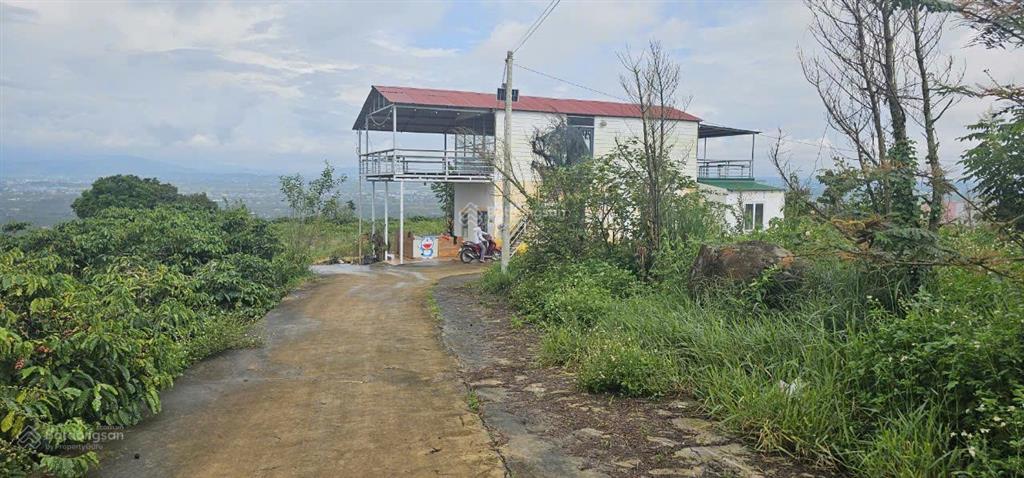 Bán gấp đất nền 611m2, 3,65 tỷ tại xã tân văn, huyện lâm hà, lâm đồng