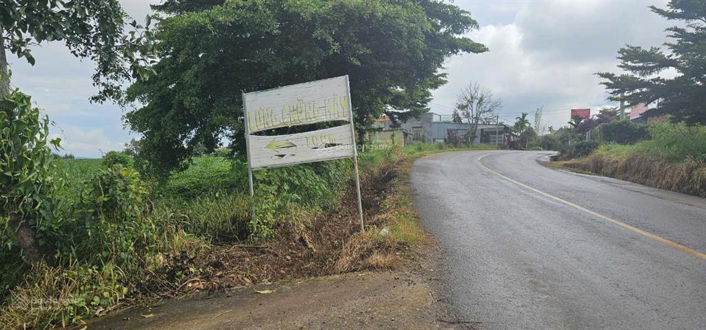 Bán lô đất 470m2 gần chợ tân văn, lâm hà chỉ 4.8 tỷ thương lượng