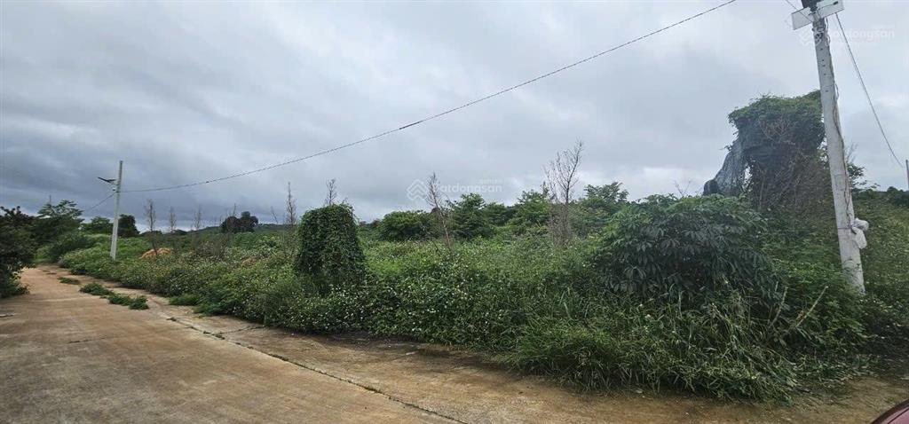 Bán lô đất 470m2 gần chợ tân văn, lâm hà chỉ 4.8 tỷ thương lượng