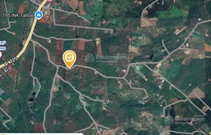 Bán lô đất 470m2 gần chợ tân văn, lâm hà chỉ 4.8 tỷ thương lượng