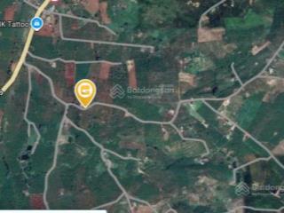 Bán lô đất 470m2 gần chợ tân văn, lâm hà chỉ 4.8 tỷ thương lượng