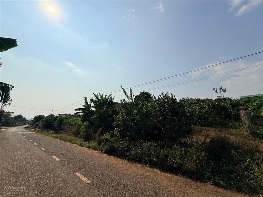 Bán lô đất 470m2 gần chợ tân văn, lâm hà chỉ 4.8 tỷ thương lượng