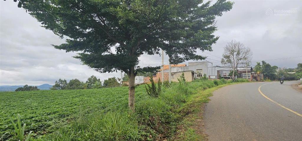 Bán đất 1053m2 tại xã tân văn, 3,65 tỷ, pháp lý đầy đủ