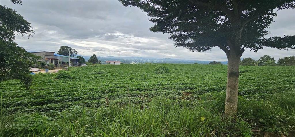 Bán đất 1053m2 tại xã tân văn, 3,65 tỷ, pháp lý đầy đủ