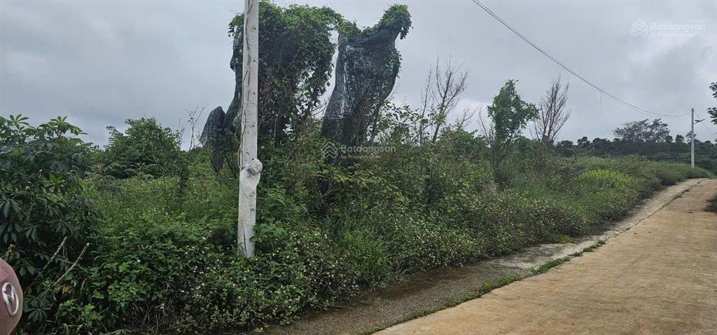 Bán đất 1053m2 tại xã tân văn, 3,65 tỷ, pháp lý đầy đủ