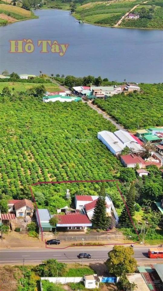 Bán gấp đất mặt tiền hùng vương, di linh, 1604m2