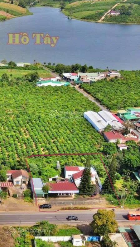 Bán gấp đất mặt tiền hùng vương, di linh, 1604m2, giá thỏa thuận
