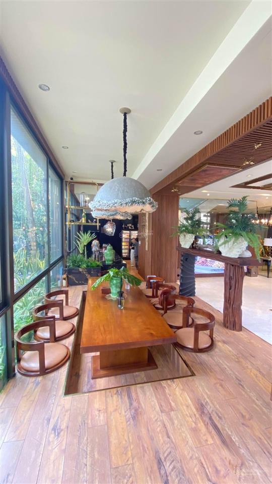 Biệt thự phú gia phú mỹ hưng đẳng cấp sống thượng lưu  331m2  150 tỷ tl