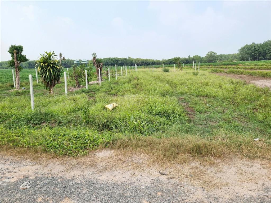 Đất phường, 13m đường nhựa. 500m2 chỉ 5xx tr