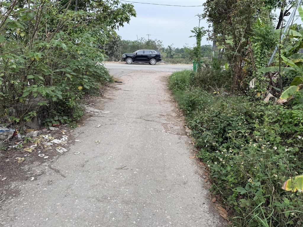 Không có người trông và chăm sóc cần bán gấp