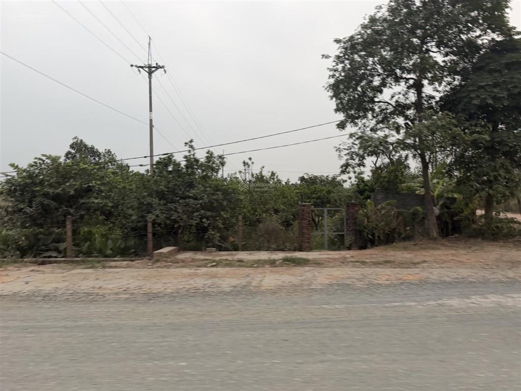 Không có người trông và chăm sóc cần bán gấp