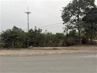 Không có người trông và chăm sóc cần bán gấp