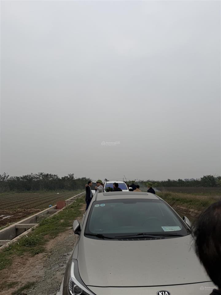 Không có người trông và chăm sóc cần bán gấp