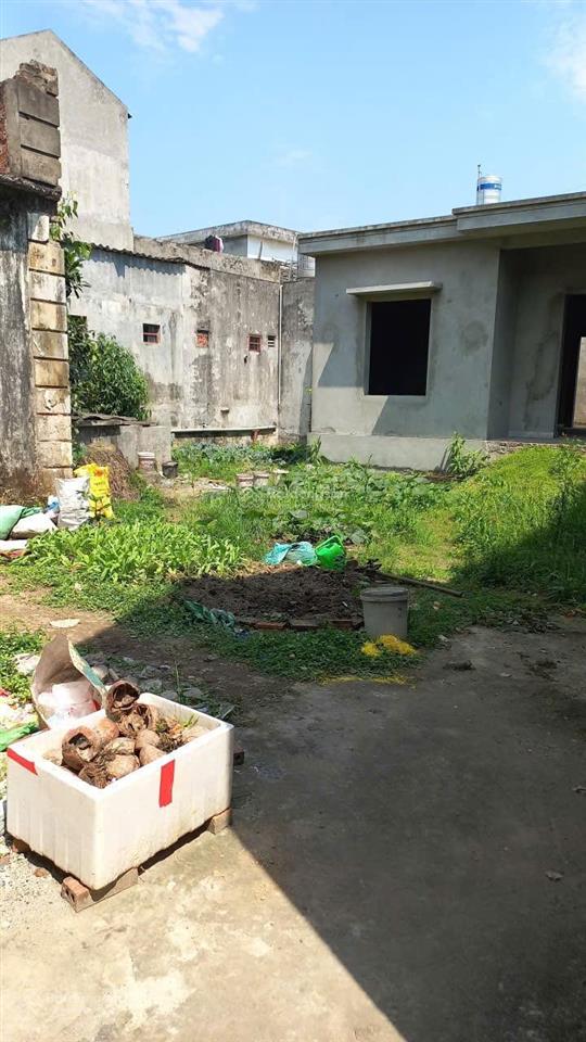 Bán đất nhà vườn không gian yên tĩnh giá siêu tốt