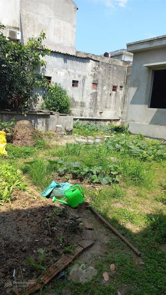 Bán đất nhà vườn không gian yên tĩnh giá siêu tốt