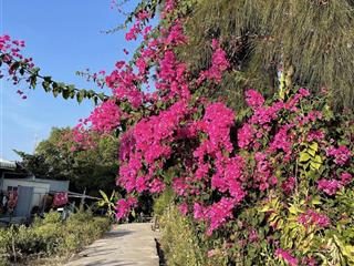 Bán dãy trọ đường duyên hải, 210m2, giá thỏa thuận, 7pn + 7wc, hot!